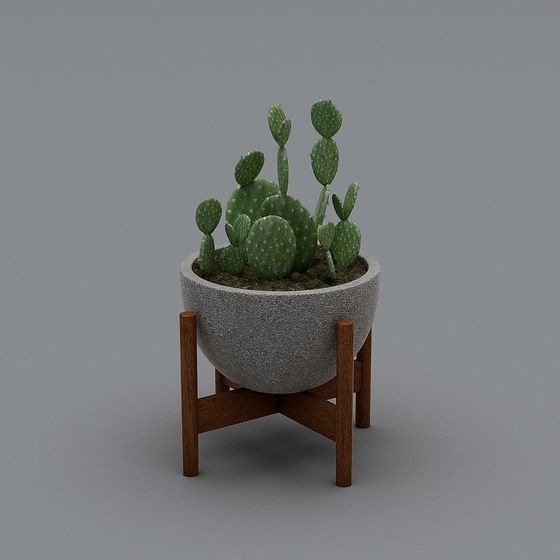 Desert Oasis Succulent 3D model