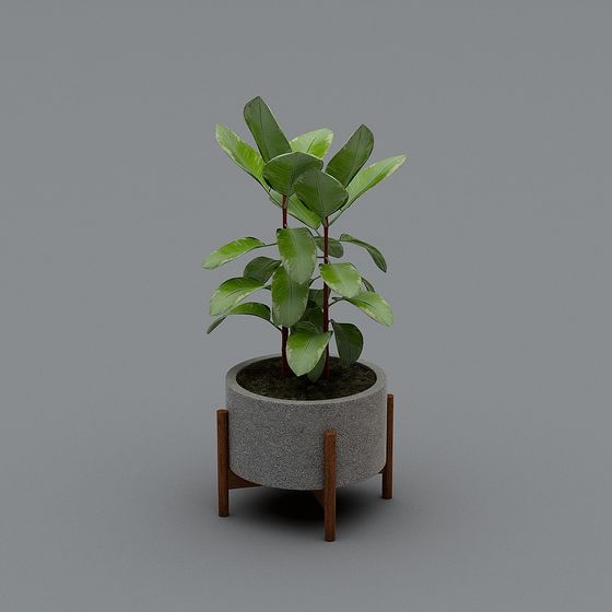 Urban Greenery 3D Model for Creative Spaces