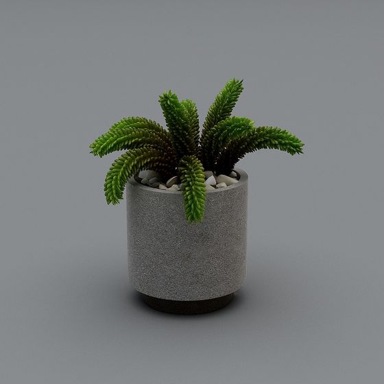 Concrete Planter with Green Plant 3D model