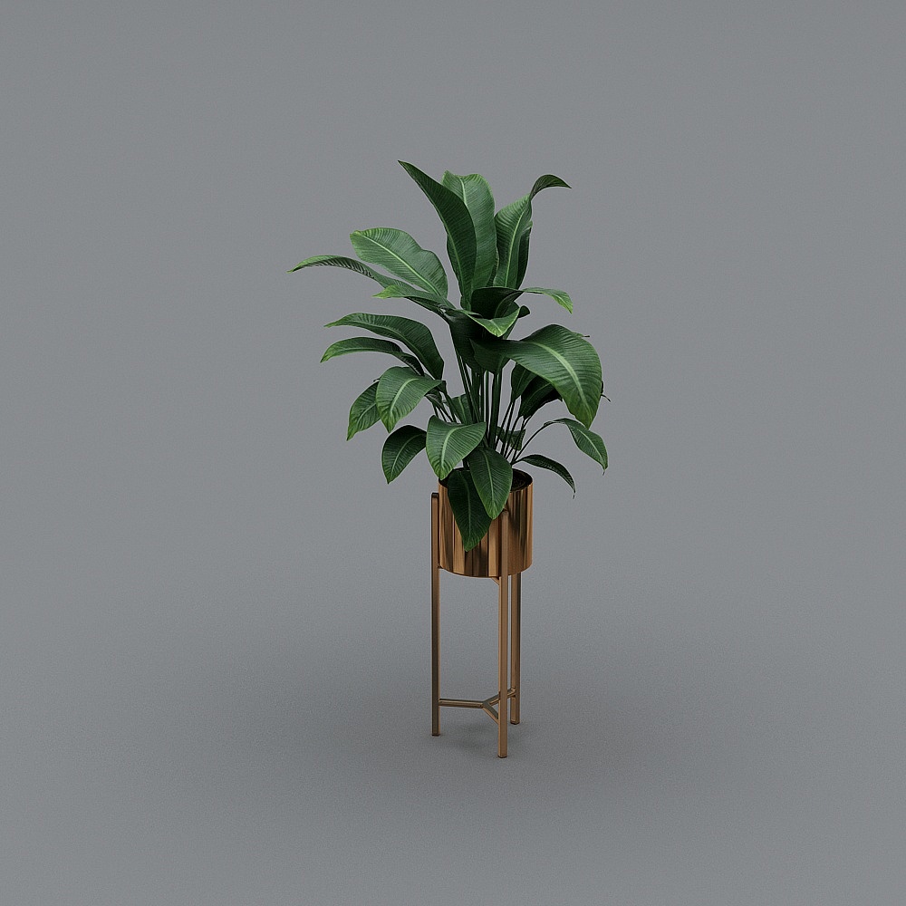 พืชสีเขียว