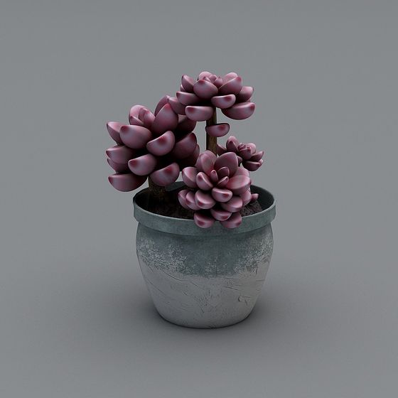 Succulent Delight 3D model for Creative Projects