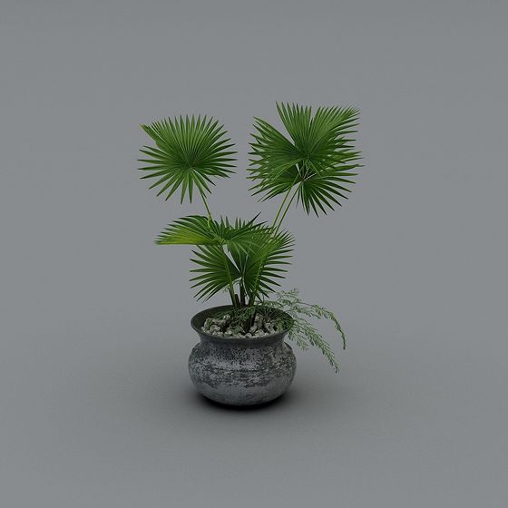 Tropical Style Potted Plant 3D model for Creative Spaces