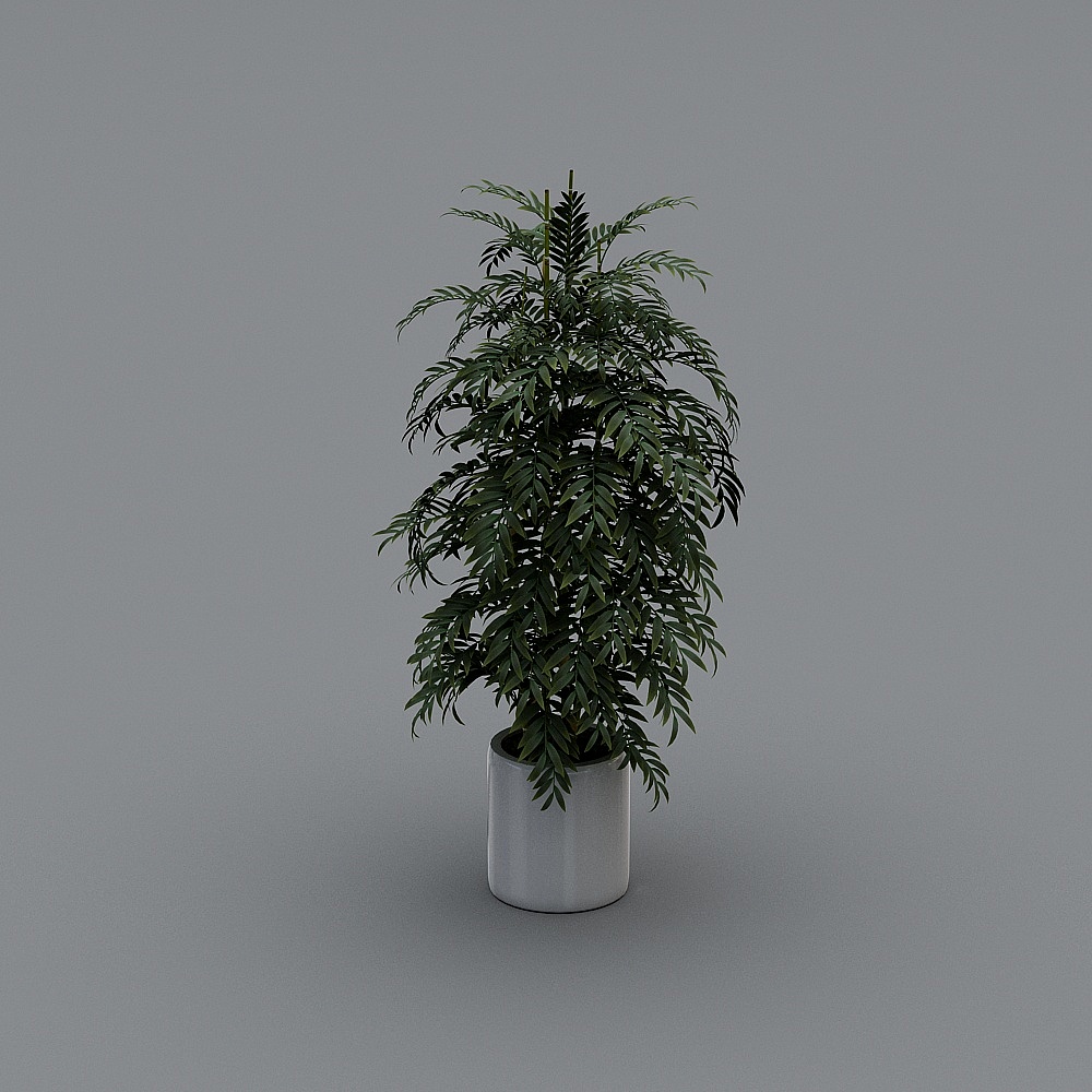 Green Oasis 3D model - Lush Indoor Plant Design