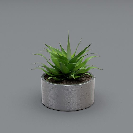 Concrete Planter Cactus 3D model