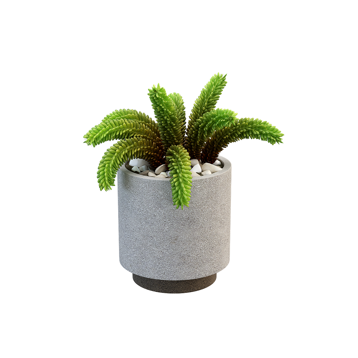 Concrete Planter with Green Plant – Textured Low-Poly Model