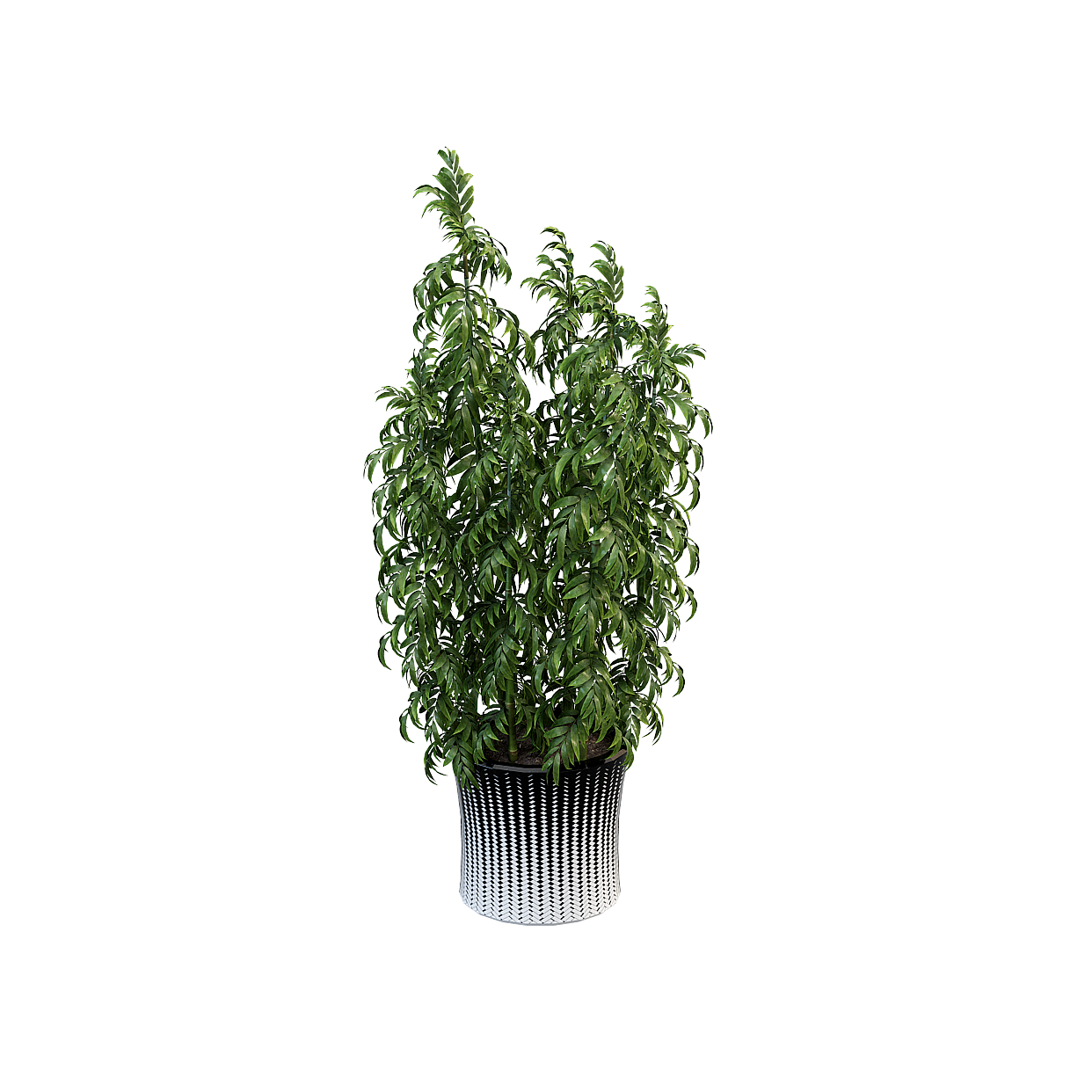 Indoor Greenery 3D Model – Realistic Plant with Geometric Pot