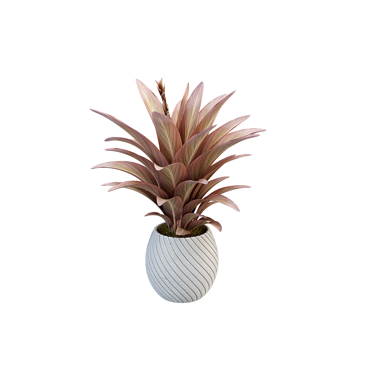 Urban Greenery 3D Model – Purple Leaves in White Pot