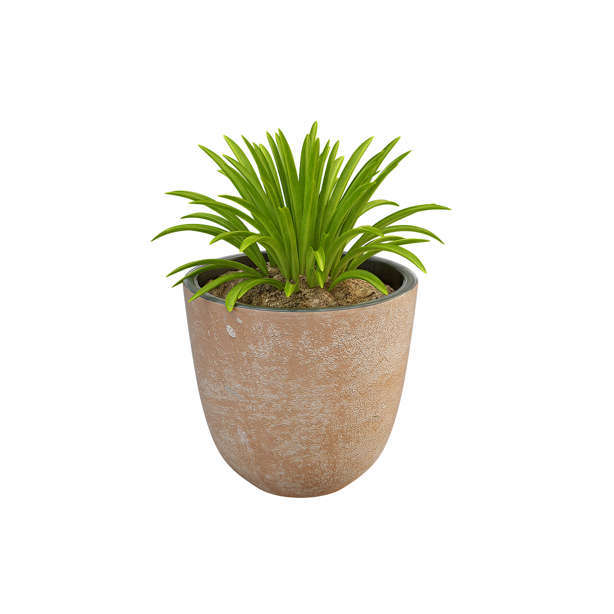 Urban Oasis Indoor Plant 3D Model – Realistic Low-Poly Foliage
