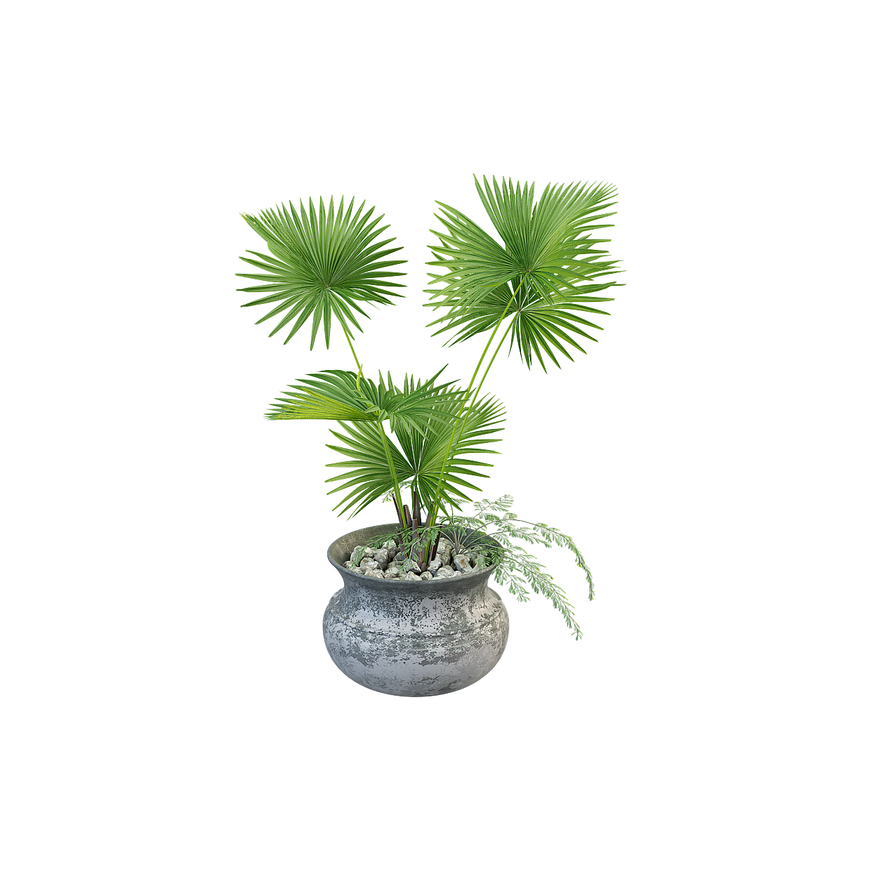 Tropical Style Potted Plant 3D Model – Low-Poly Greenery