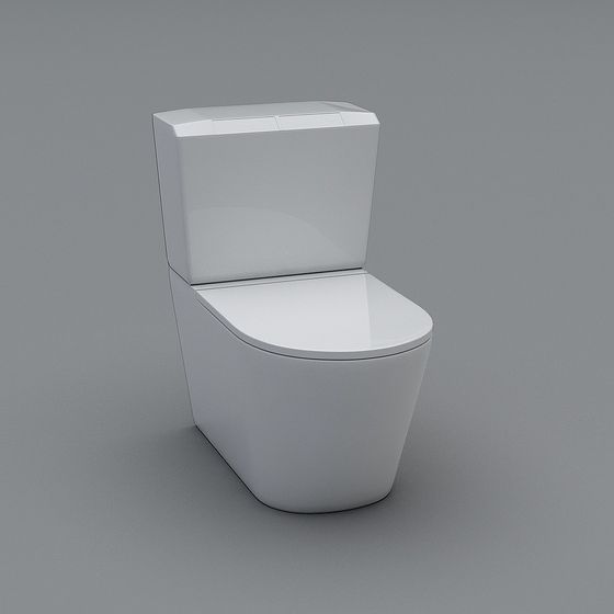 Stylish Urban Toilet 3D model for Modern Spaces