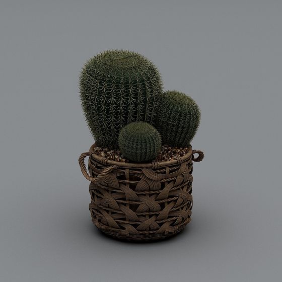 Cactus Basket 3D model
