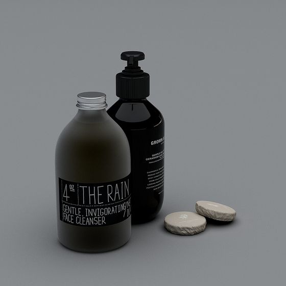 The Rain Gentle Invigorating Face Cleanser 3D model