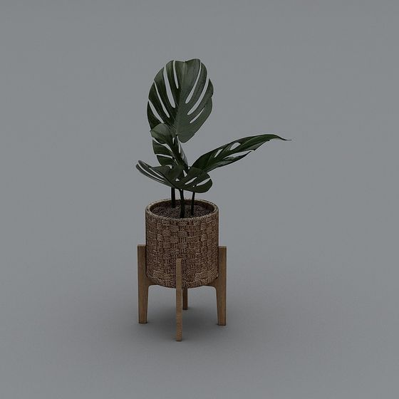 Charming Woven Planter Plant 3D model