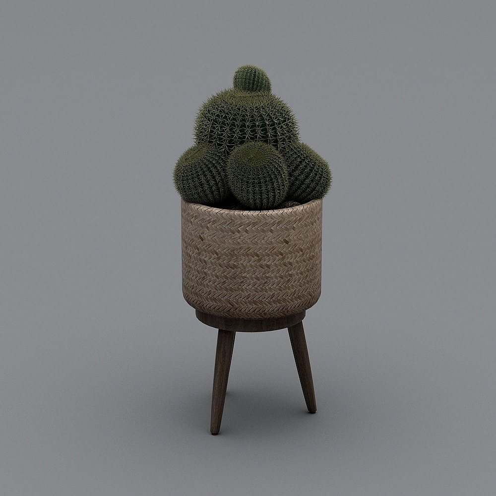 Bathroom combination-green plants and flowers-2