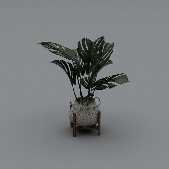 Woven Basket Plant 3D model for Green Spaces
