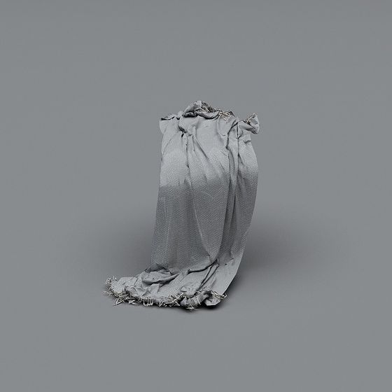 Wrinkled Cloth Bag 3D model
