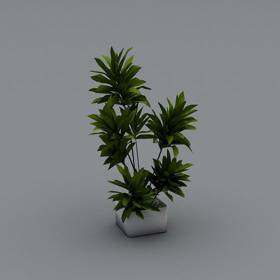 Green Oasis Indoor Plant 3D model