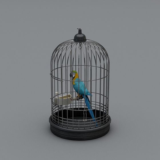 Caged Beauty Parrot 3D model