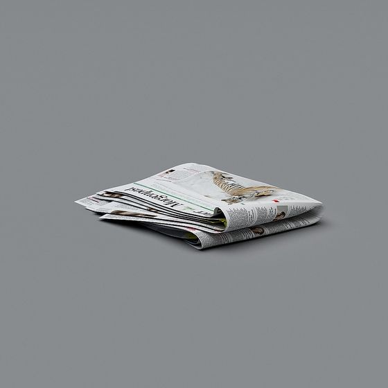 Folded Newspaper 3D model