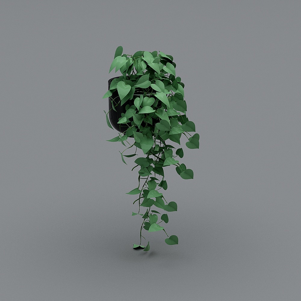 Realistic Hanging Plant 3D Model