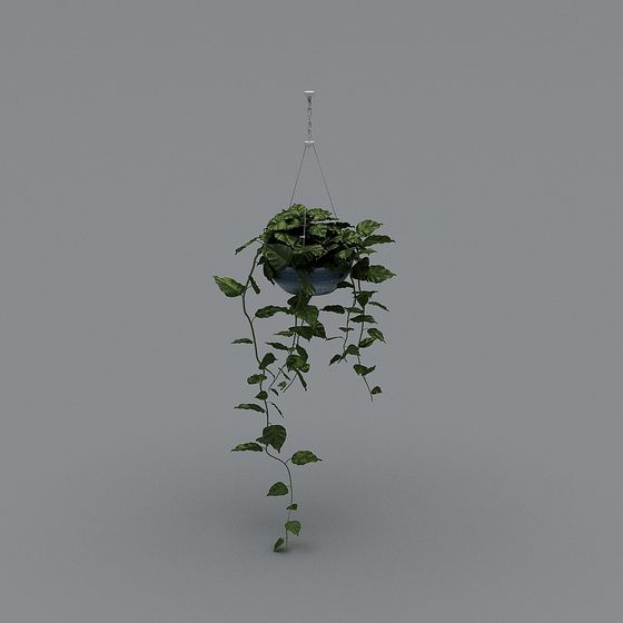 Hanging Plant 3D Model for Breathtaking Nature Decor