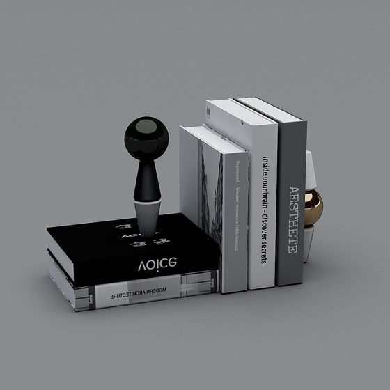 Modern Bookshelf and Decor 3D model