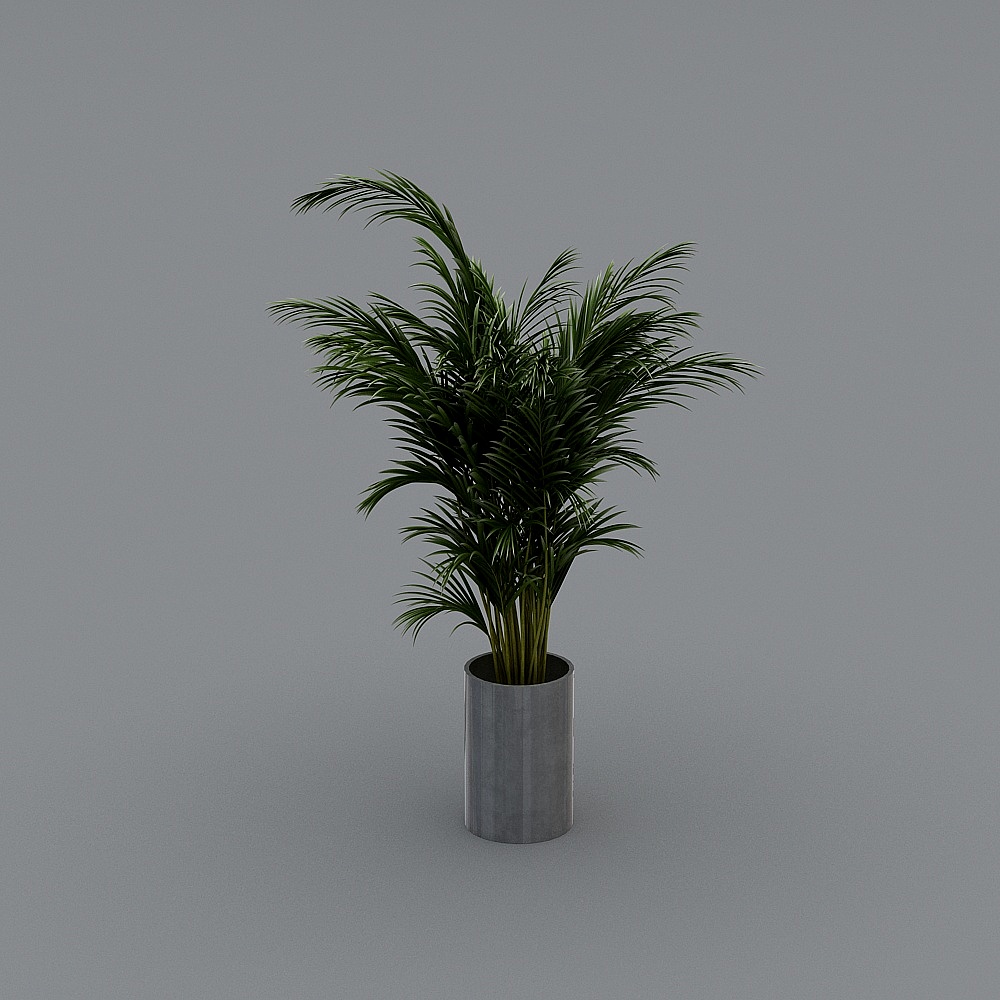 Vibrant Palm Tree 3D Model for Creative Projects