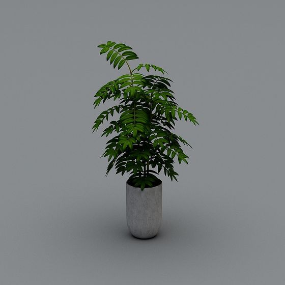 Lush Potted Plant 3D model