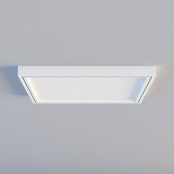 Ceiling