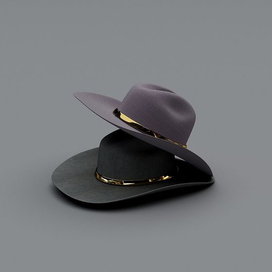 Futuristic Vintage Hat 3D model