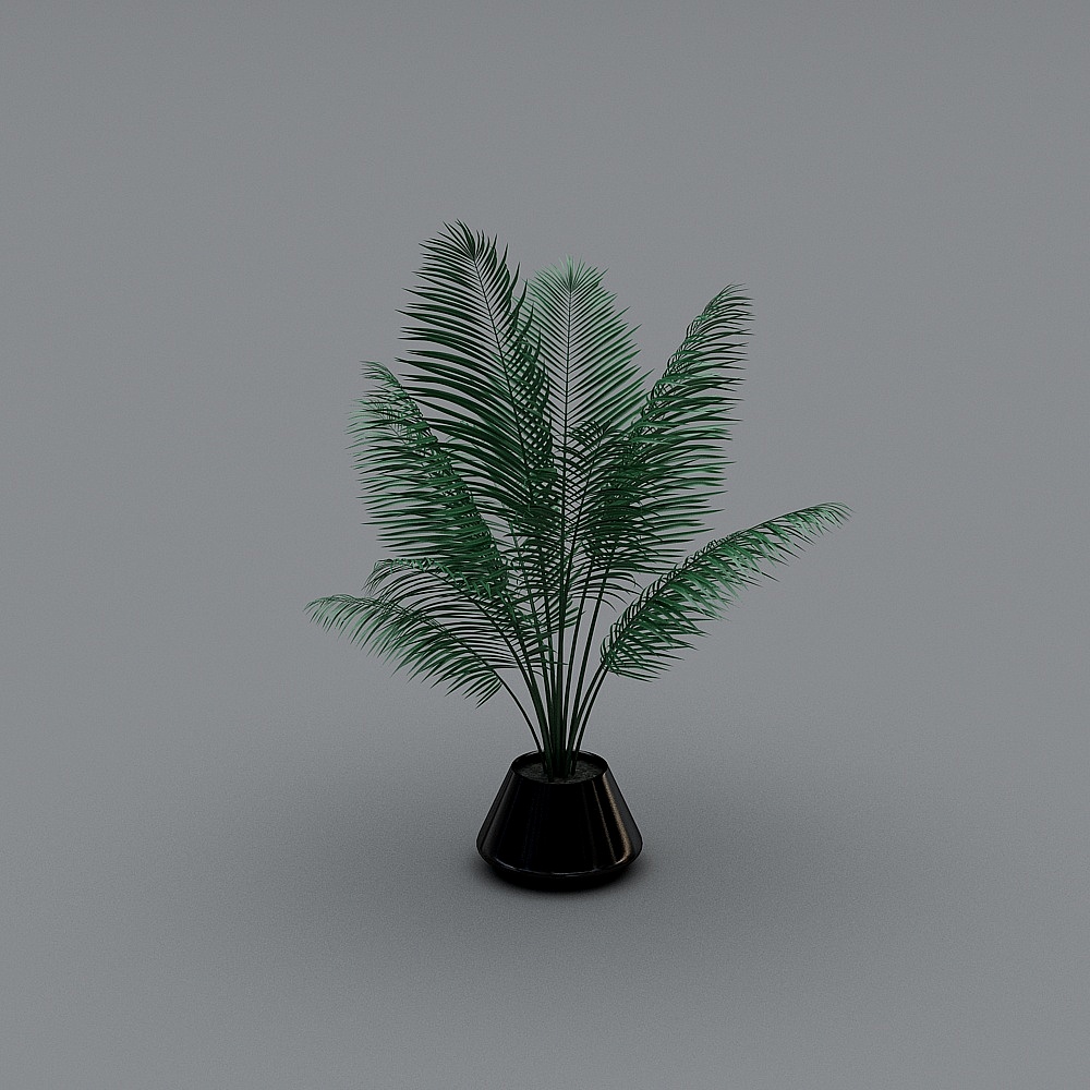 Dwarf Tree 2