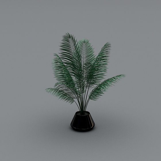 Elegant Low-Poly Palm Tree 3D model