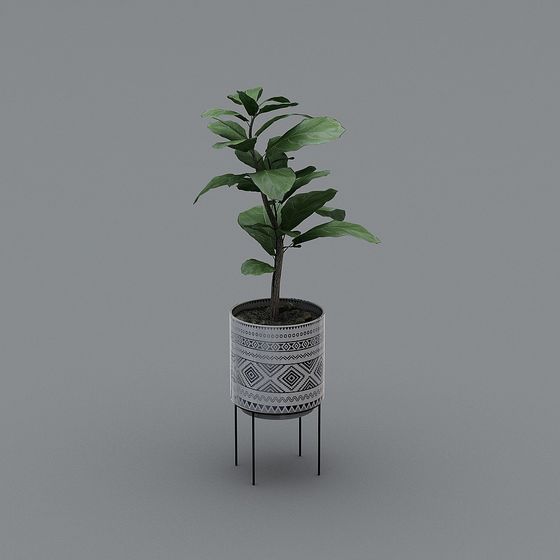 Lively Fiddle Leaf Fig 3D model for Indoor Decor