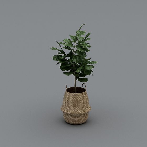 Woven Basket Green Plant 3D model