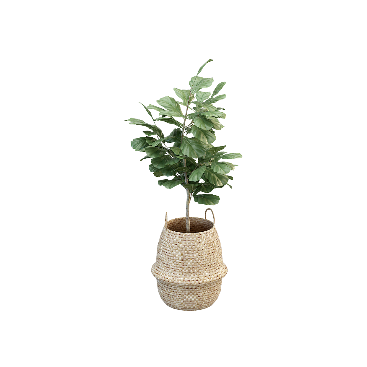 Woven Basket Green Plant 3D Model – Low-Poly Natural Decor