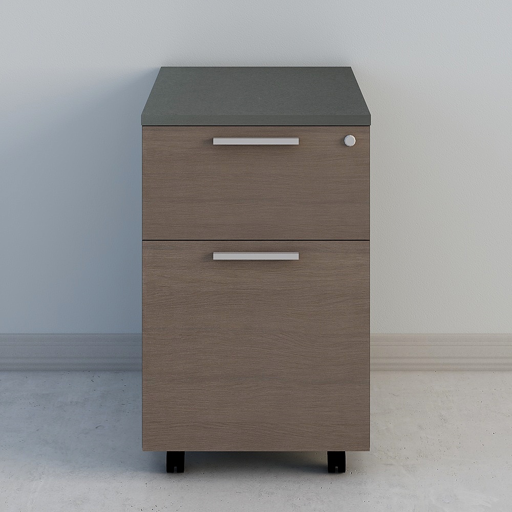 반타이 활동 캐비닛