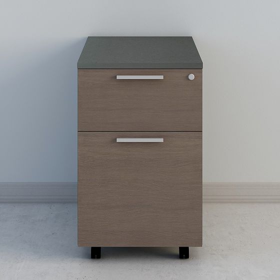 반타이 활동 캐비닛