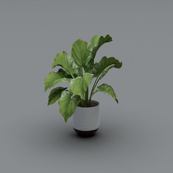 Vibrant Indoor Plant 3D model for Creative Projects
