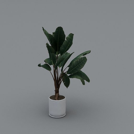 Lush Potted Plant 3D model