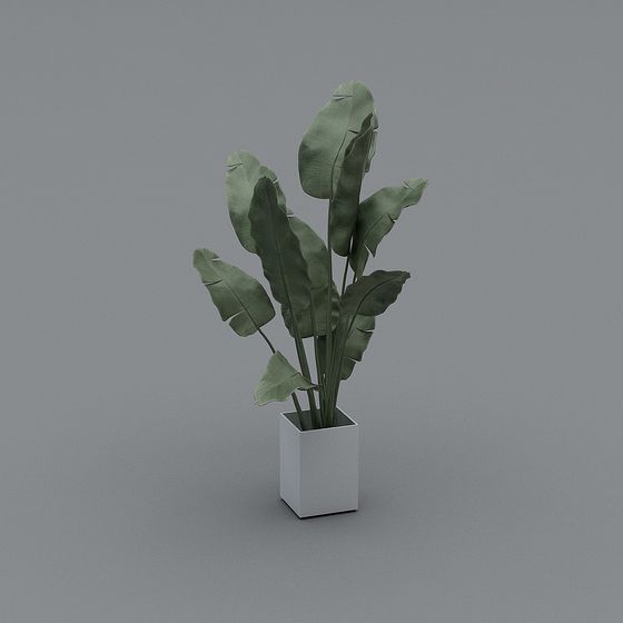 Vibrant Low-Poly Tropical Plant 3D model