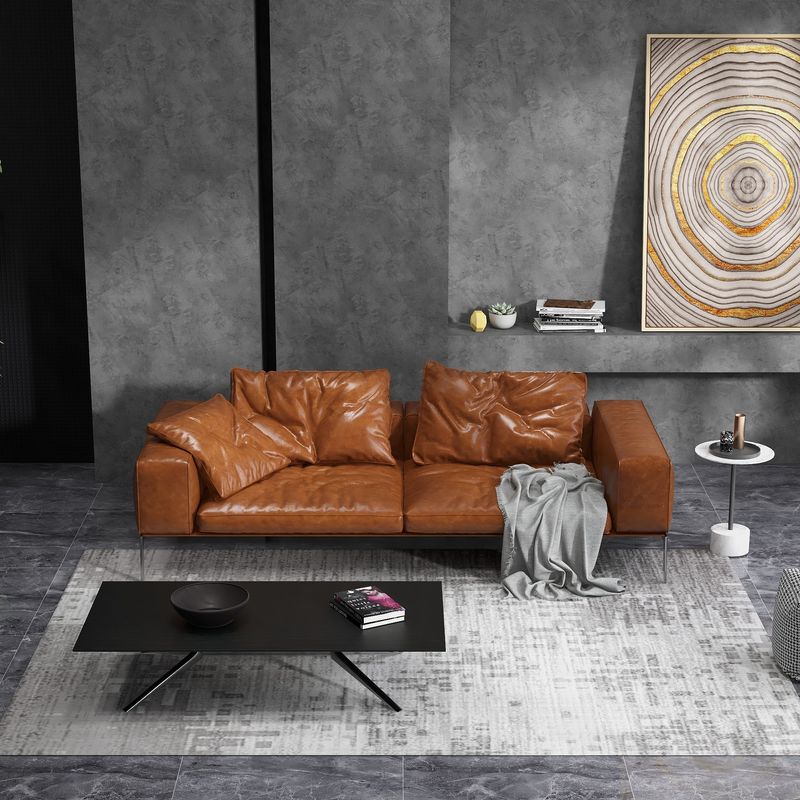 Modern Living Room with Leather Sofa
