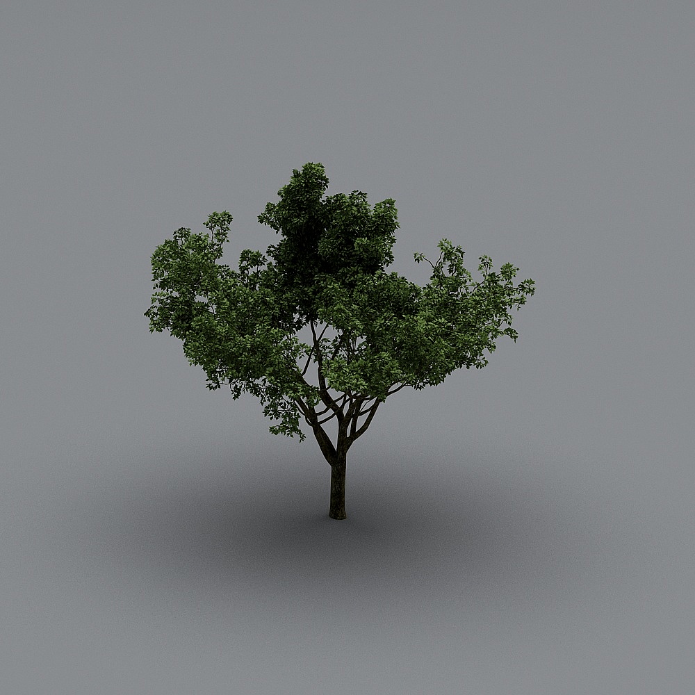 Tree 3