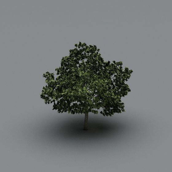 Vibrant 3D Oak Tree Model for Various Uses