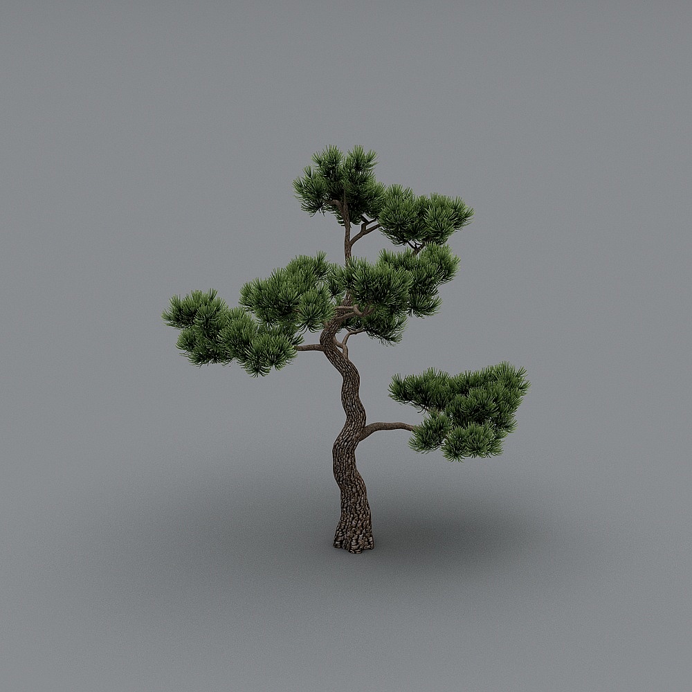 Low-Poly Pine Tree 3D model