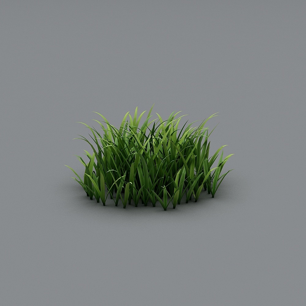 Grass