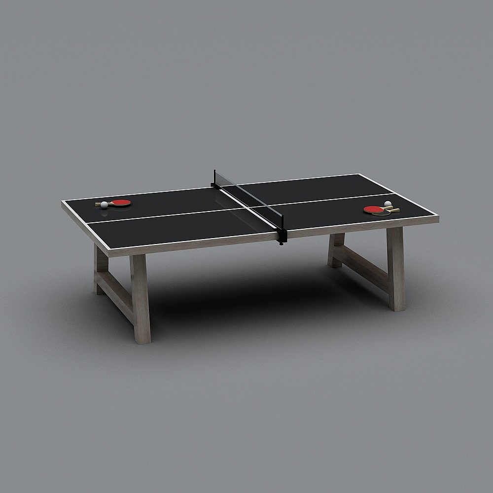 Modern Minimalist Table Tennis Table 3D model