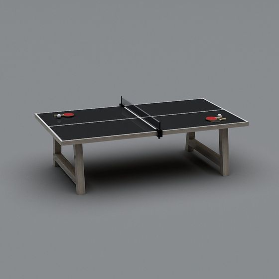 Modern Minimalist Table Tennis Table 3D model