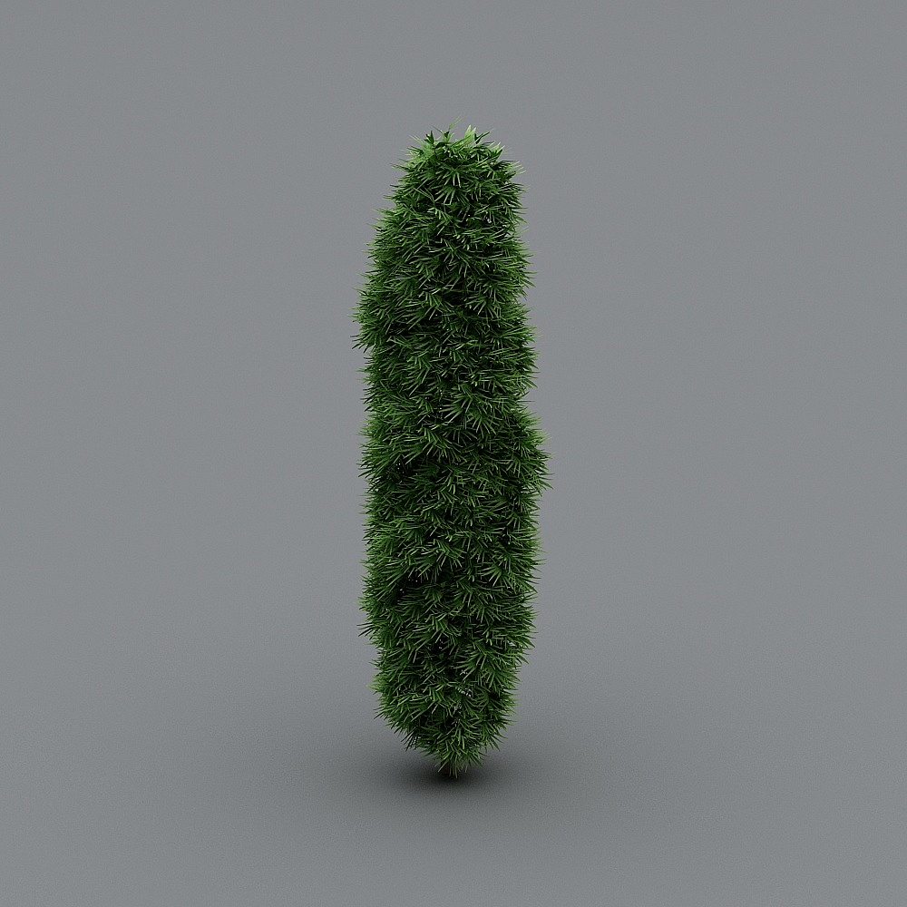Realistic 3D Evergreen Tree Model
