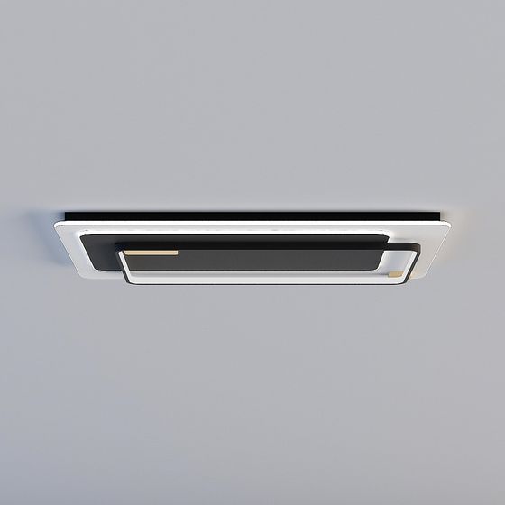 Modern Black Ceiling Light 3D Model