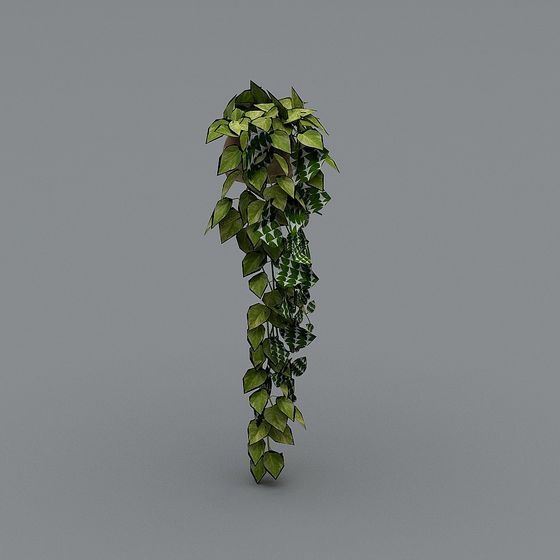 Hanging Green Plant 3D model for Creative Spaces